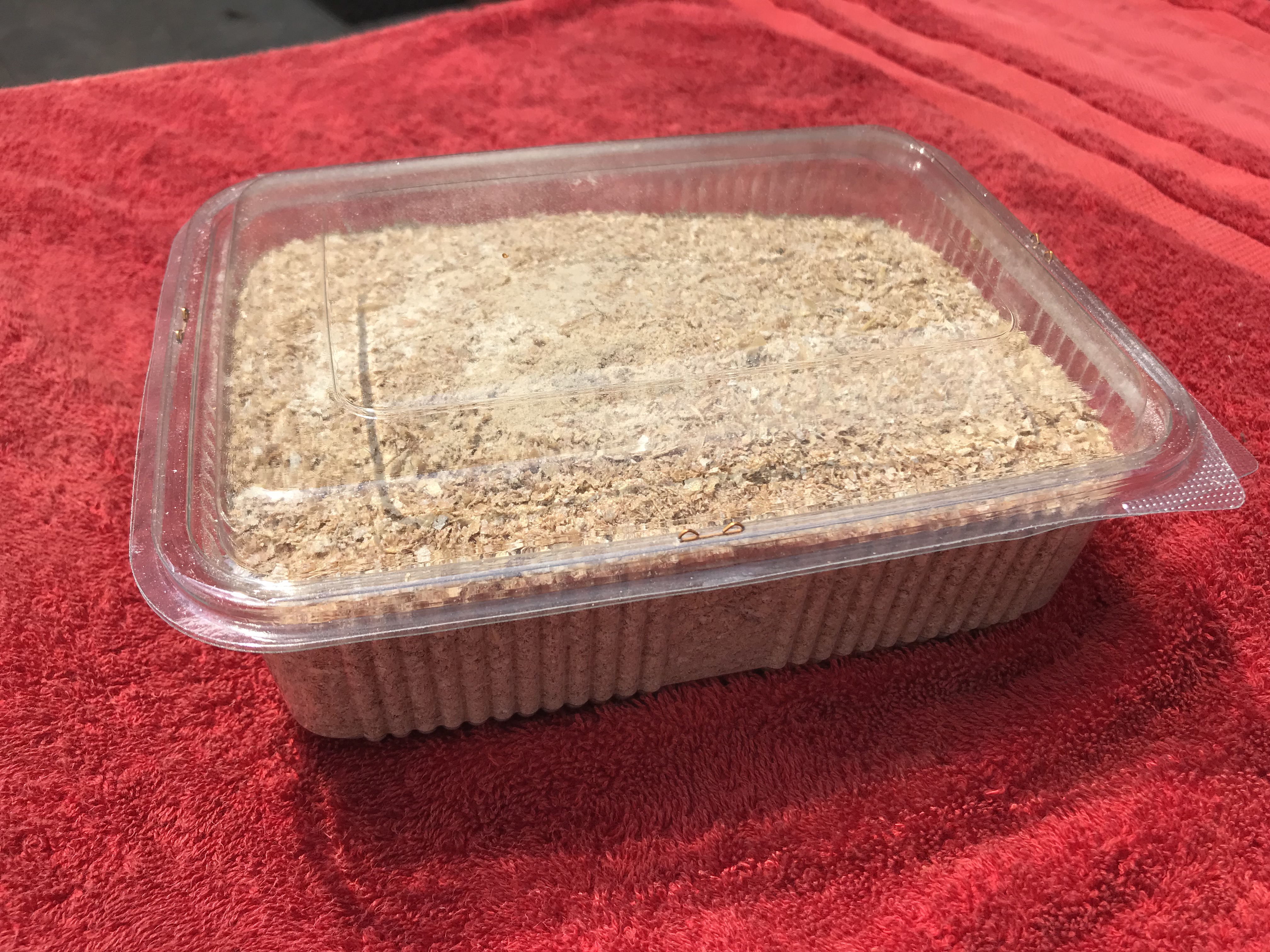 Unkurdu yataklık.jpeg